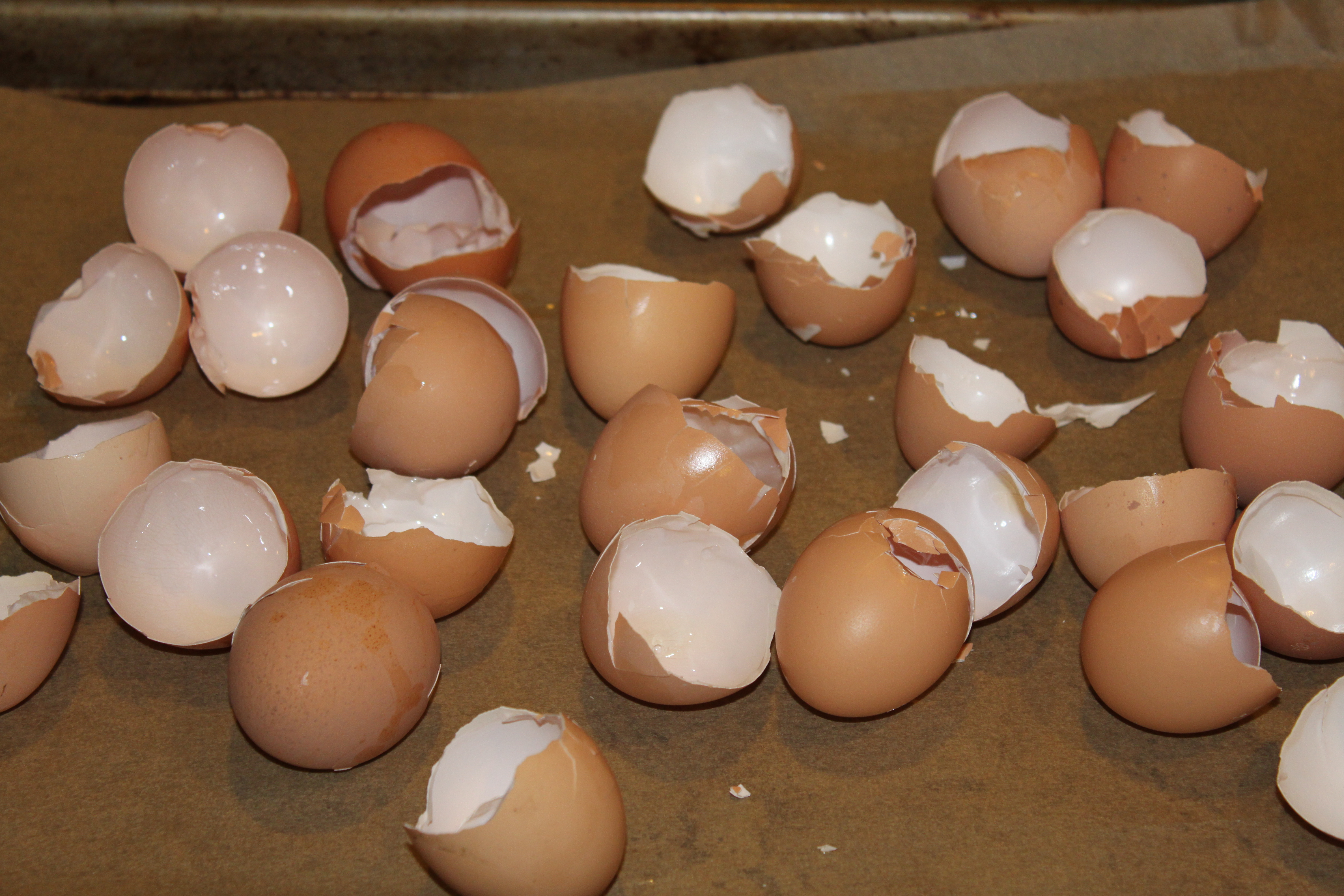 egg-shells-2.jpg