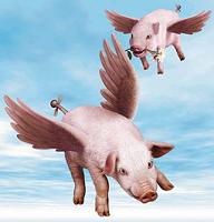 Pigs_might_Fly.jpg