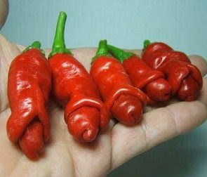 peter+peppers+1.jpg
