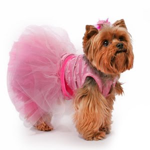 pink-tutu-ballerina-dog-dress1.jpg