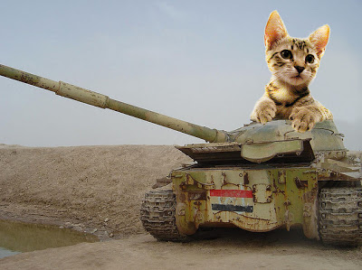 Cat+in+tank.jpg