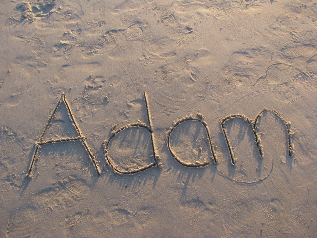 Adam%27s+name.jpg