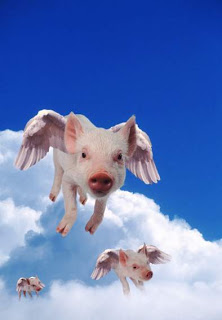 pigs%2Bmight%2Bfly.jpg