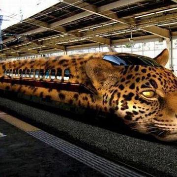 a.daa-small-Train-Tiger-Tuning.jpg