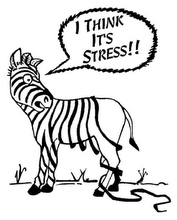 Stress-ZebraStripes.png