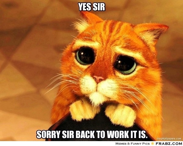 frabz-yes-sir-sorry-sir-back-to-work-it-is-21143b.jpg