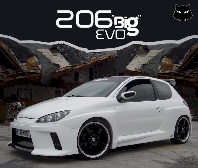 206_big_evo_tuning_kit_evo_vvvv.jpg