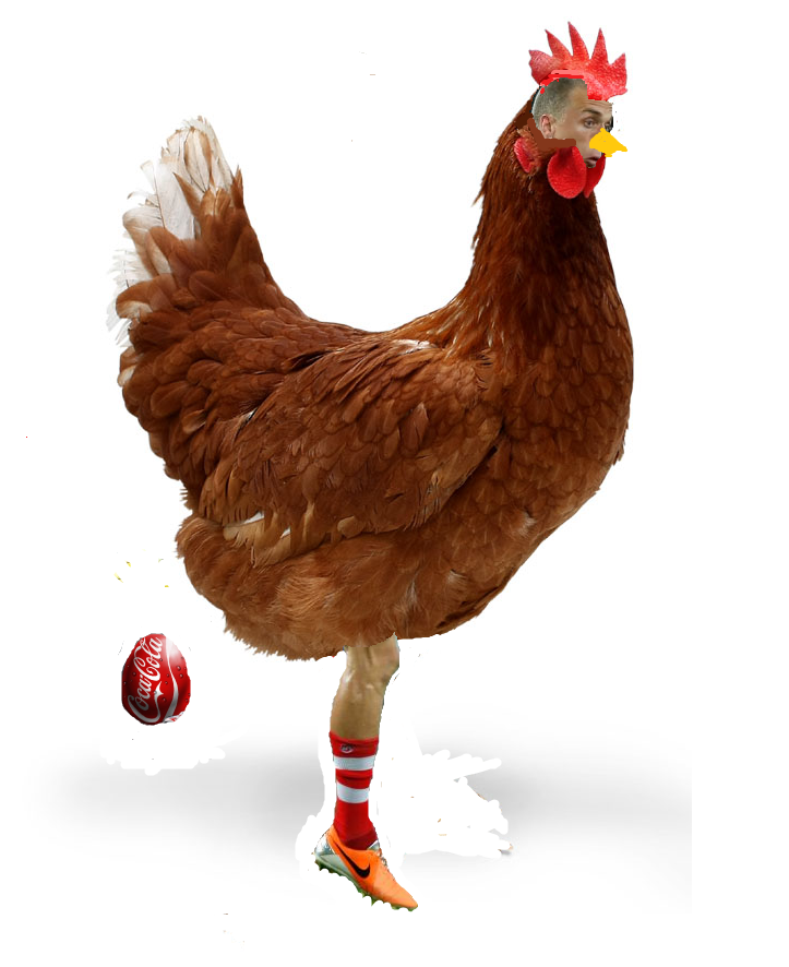 Chicken_zps3e7e9aae.png