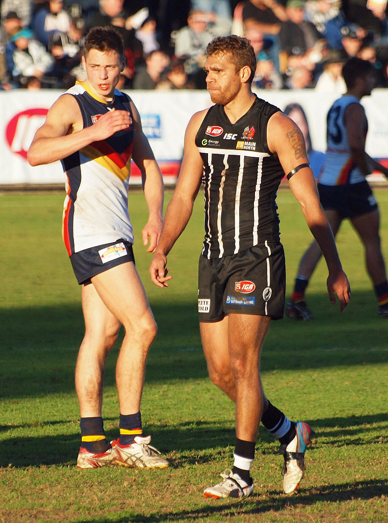 2014-magpies-crows-alberton-oval-2062.jpg