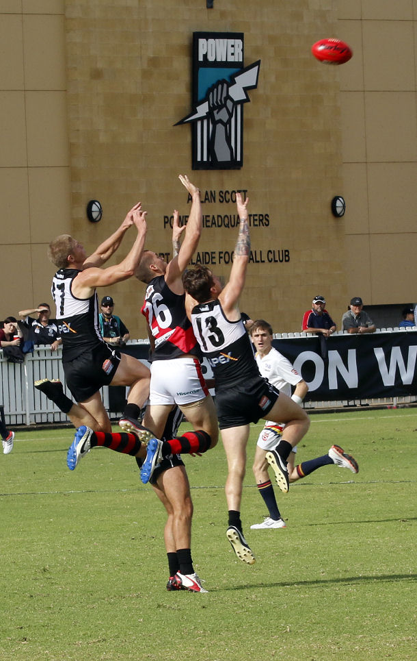 2014-rd4-magpies-westies018.jpg