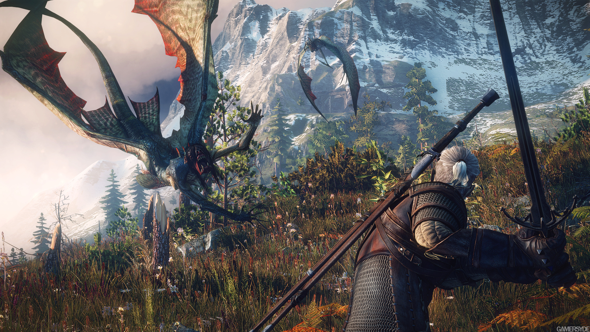 image_the_witcher_3_wild_hunt-22370-2651_0009.jpg