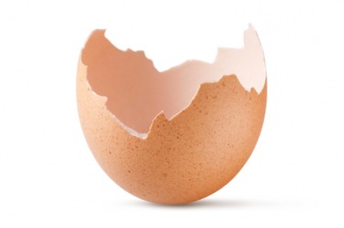 eggshell.jpg