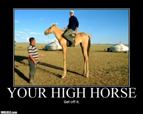 500px-Get-off-your-high-horse.jpg