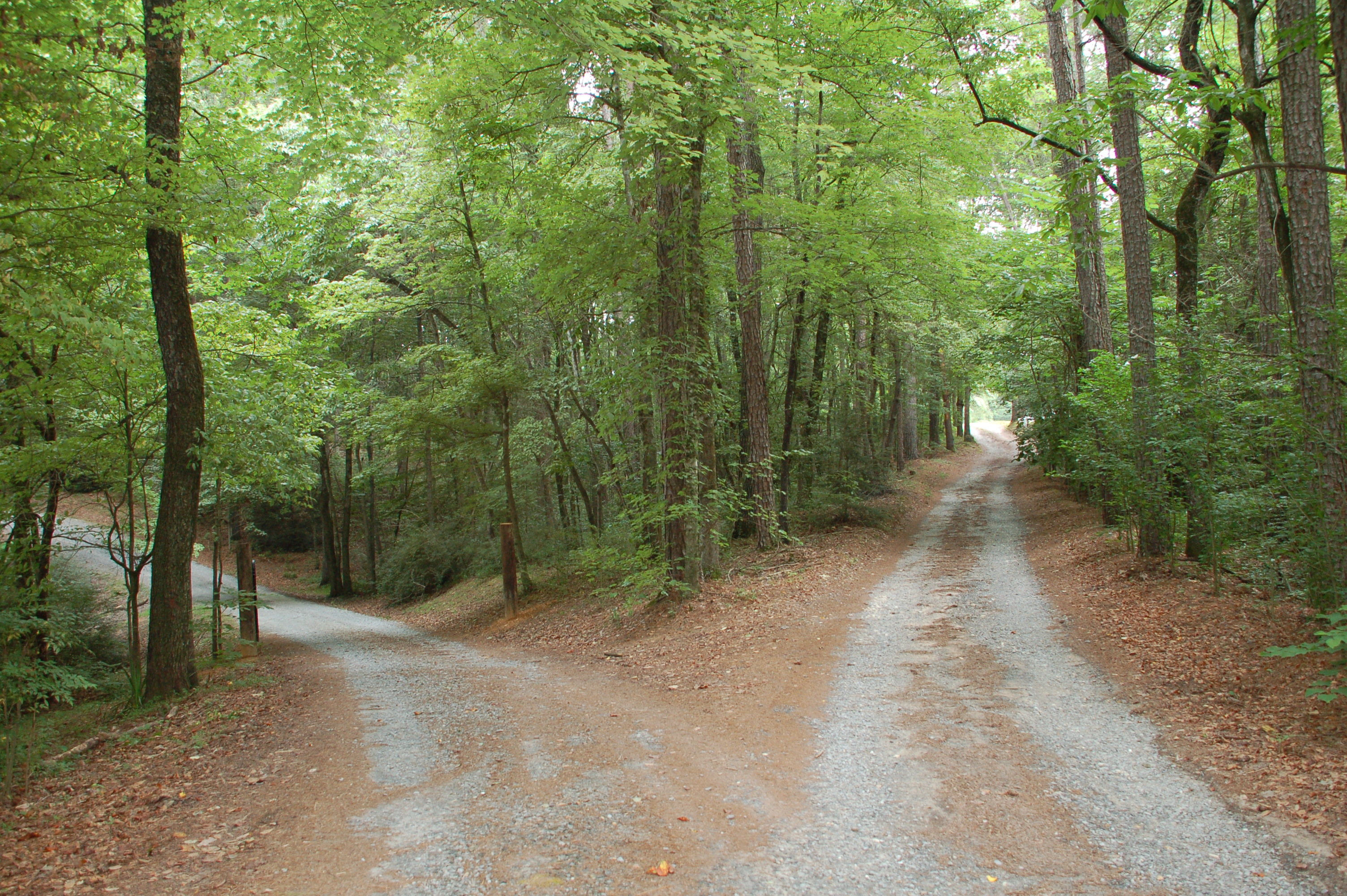 fork-in-the-road.jpg