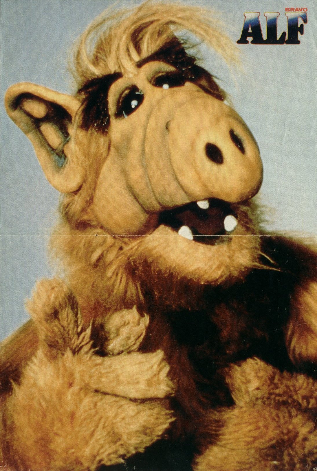 alf1.jpg