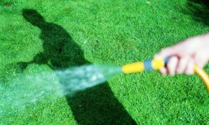 man-watering-grass-008-300x180.jpg