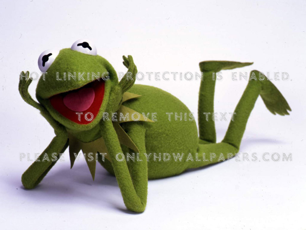 frogs_kermit_the_frog_muppet_show_desktop_1024x768_wallpaper-119126.jpeg