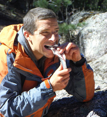 085562-adventurer-bear-grylls.jpg