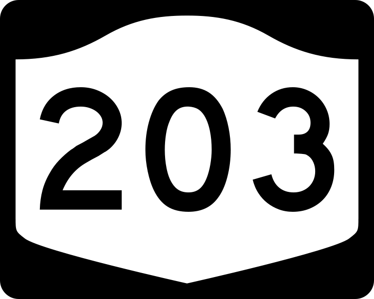 750px-NY-203.svg.png