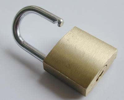 open_padlock0993.jpg