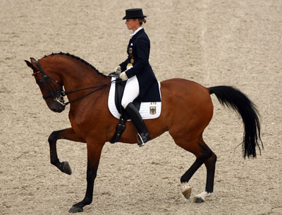 dressage.jpg