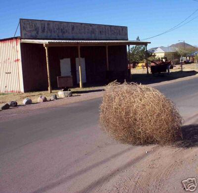 tumbleweed_833.jpg