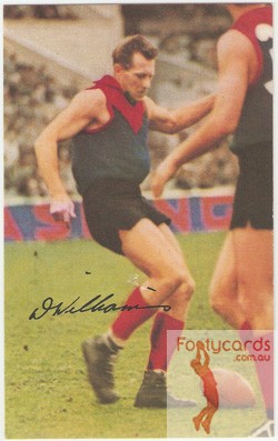 main_1966_vfl-afl_mobil_football_cards_photo_40_don-williams_melbourne_demons.jpg