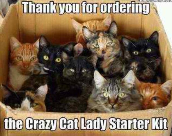 crazy-cat-lady.jpg