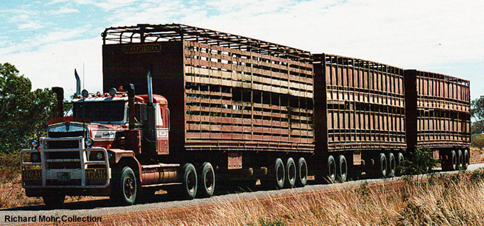 cattle_road_train.jpg