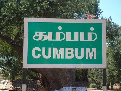 8005d1216633927-places-with-funny-names-cumbum.jpg