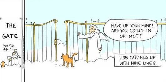 cat-at-the-pearly-gates.jpg