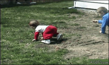 funniest-kid-gifs-dogs-run-over-baby.gif