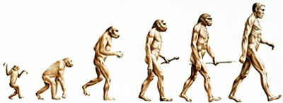 seo-evolution.jpg