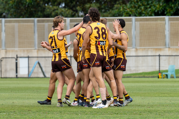 boxhillhawks.com.au