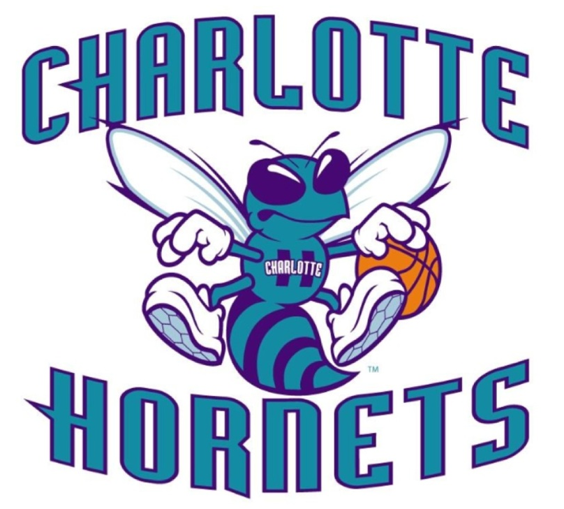 charlotte_hornets_proposed_logo_2014.png