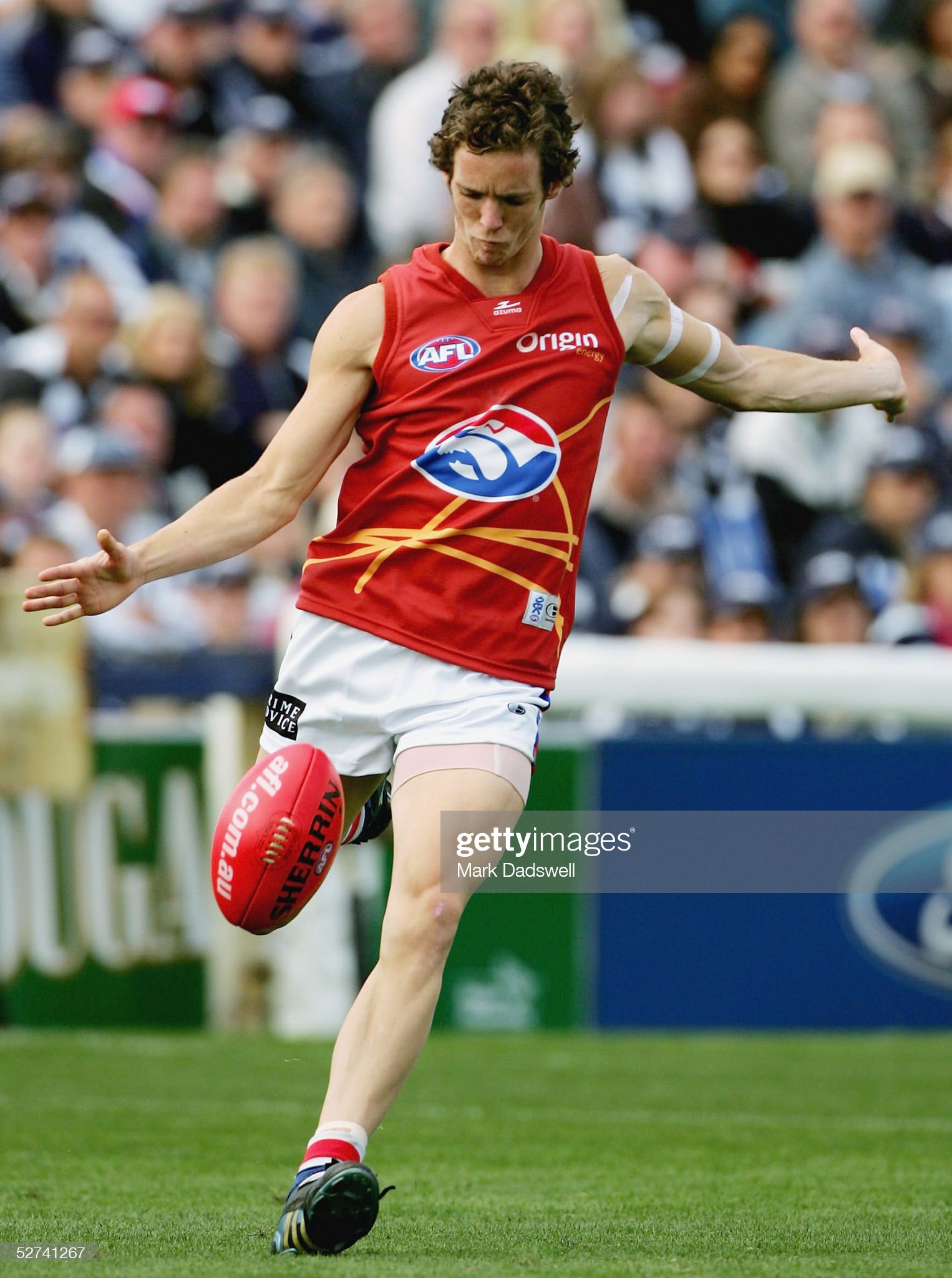 afl-rd-6-geelong-v-western-bulldogs.jpg