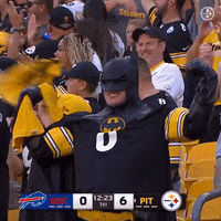 Happy Football GIF by Pittsburgh Steelers