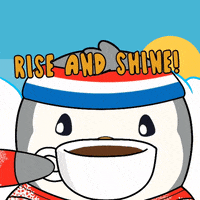 Wake Up Coffee GIF by Pudgy Penguins