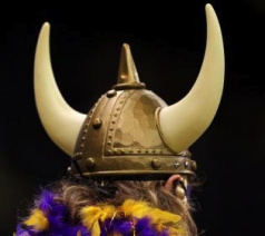 vikings.jpg