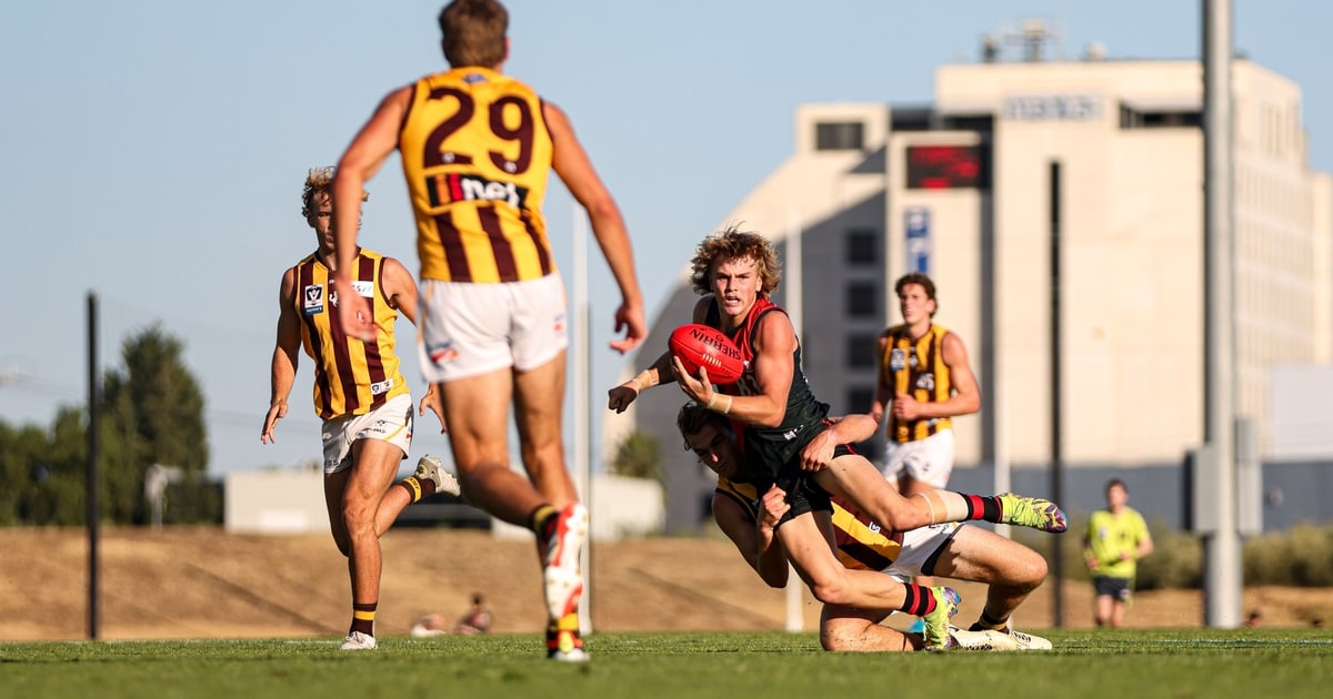 www.essendonfc.com.au