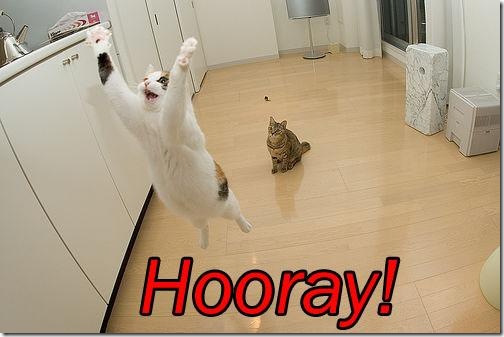 cat-saying-hooray_thumb1.jpg