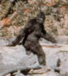 Patterson%E2%80%93Gimlin_film_frame_352.jpg