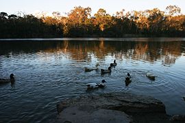 270px-BlackburnLakeVicAU.JPG