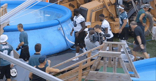 chip-kelly-dives-into-pool.gif