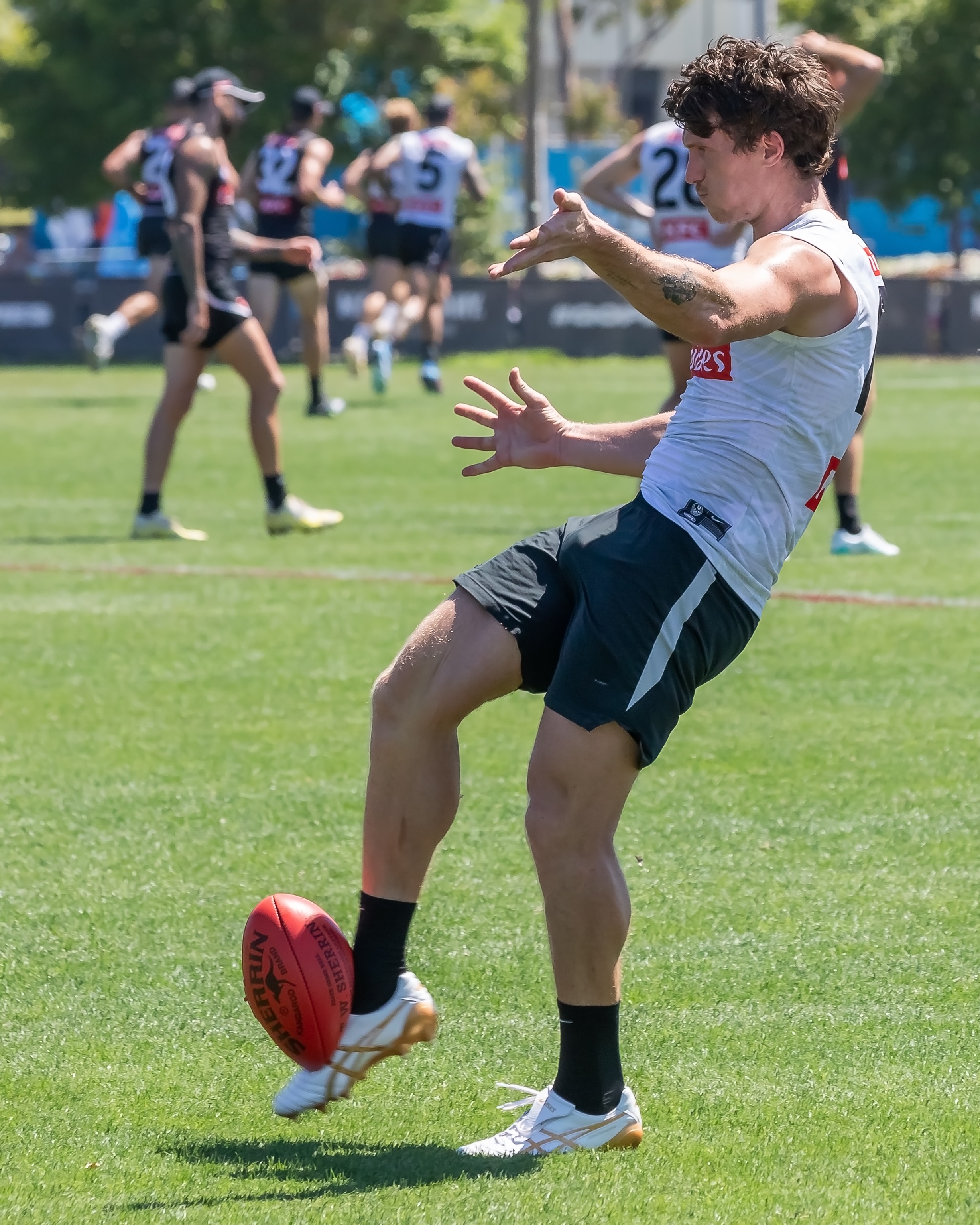 Brody Mihocek IMG_5D4B4652.jpg