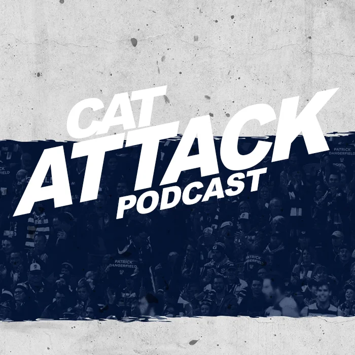cat-attack-audioboom.webp