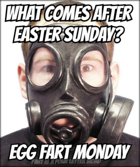 Egg fart monday