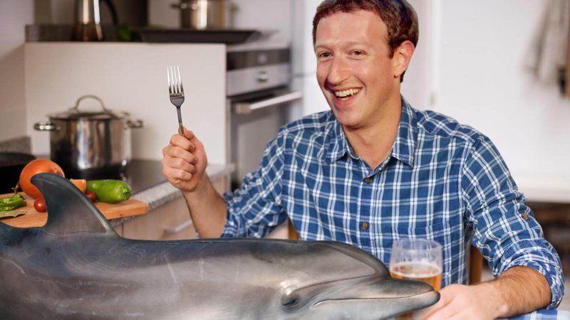 Facebook To Ban Fake News, Says Mark Zuckerberg While Eating Dolphin