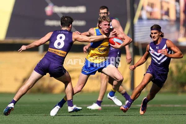 imagerender (8).webp