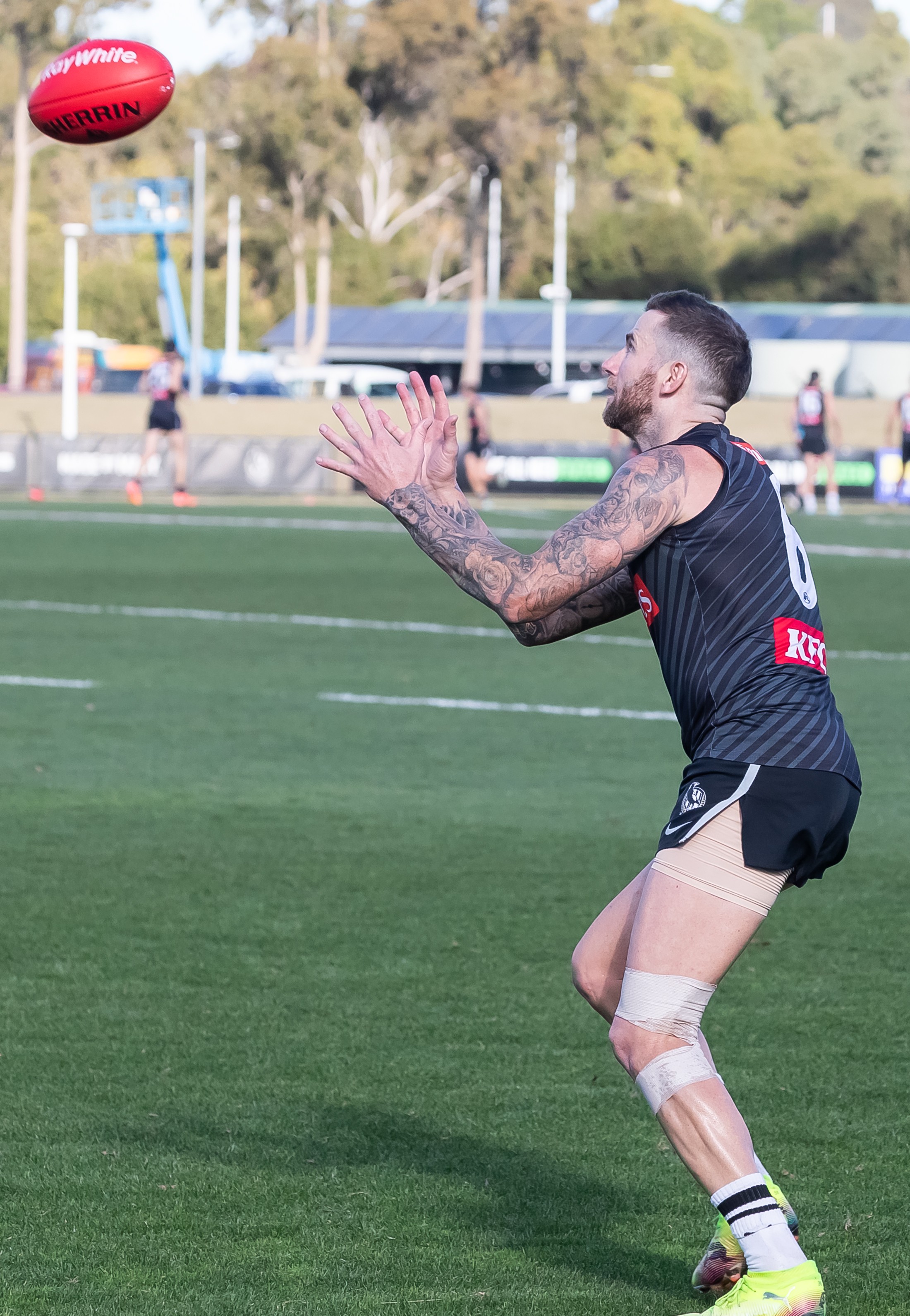 Jeremy Howe 1DX_5102.jpg